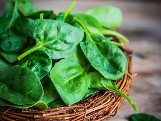 راهکارهایی برای ذخیره طولانی مدت اسفناج | چطور برگهای سبز این گیاه را ترد نگه داریم؟