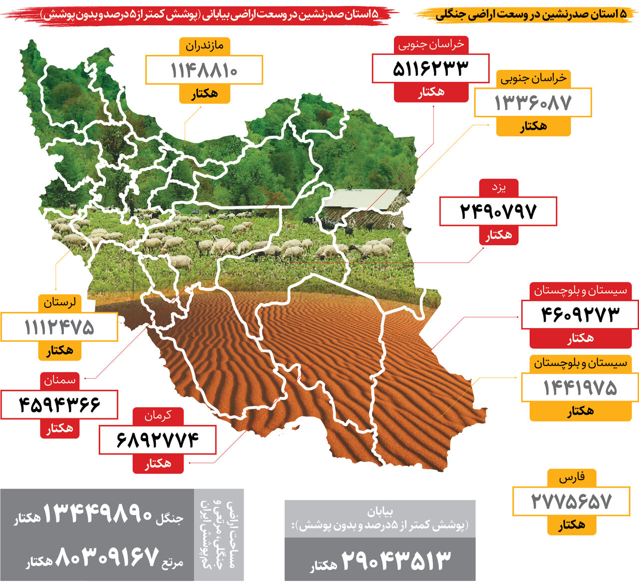 استانی که حتی از استانهای شمالی جنگل بیشتری دارد | حضور غافلگیرکننده سیستان و بلوچستان در بین ۵ استان با بیشترین اراضی جنگلی + اینفوگرافیک