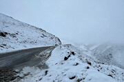 تصاویر بارش زیبای برف در سپیدان استان فارس