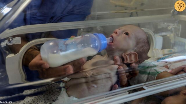 ۳۱ نوزاد نارس به جنوب غزه منتقل شدند