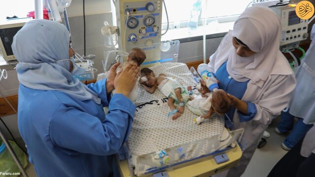 ۳۱ نوزاد نارس به جنوب غزه منتقل شدند