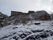 تصاویر دیدنی بارش برف در پناهگاه شیرپلا ؛ ارتفاعات تهران