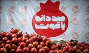 شما هم به بک جشن پاییزی دعوتید | دانه‌های یاقوت در انارستان تهران