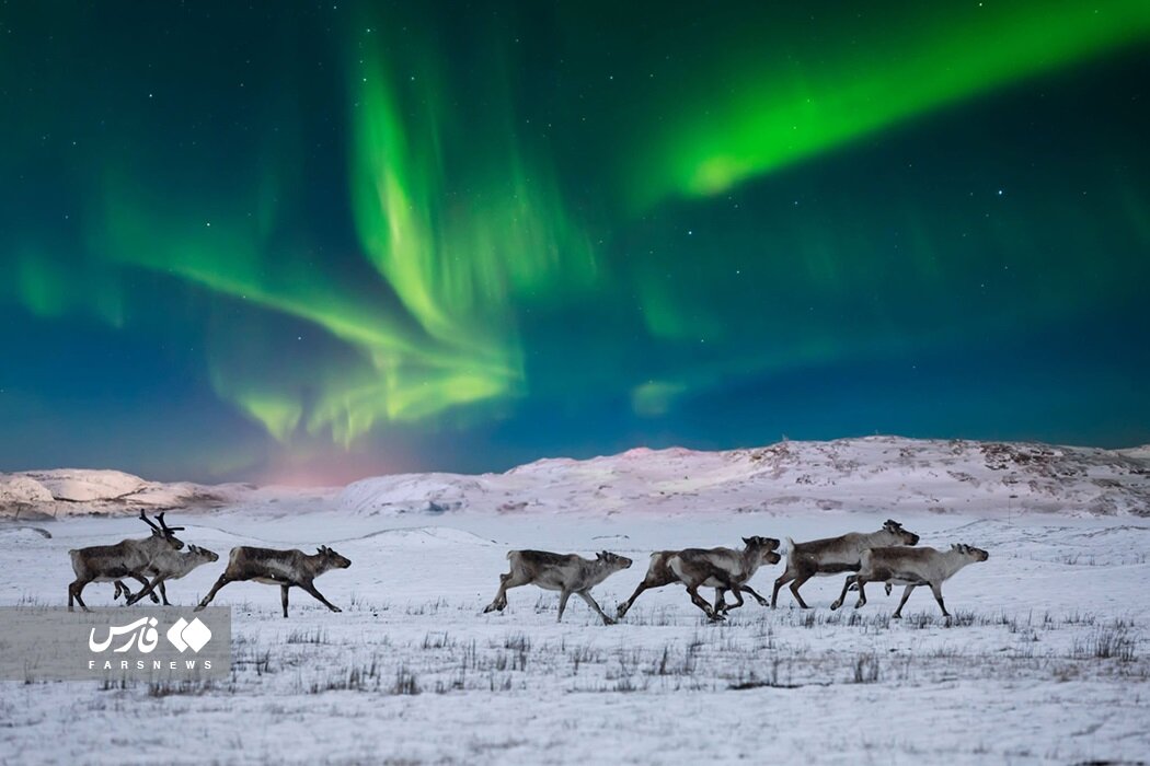 عکس | لحظه وقوع شفق قطبی تماشایی