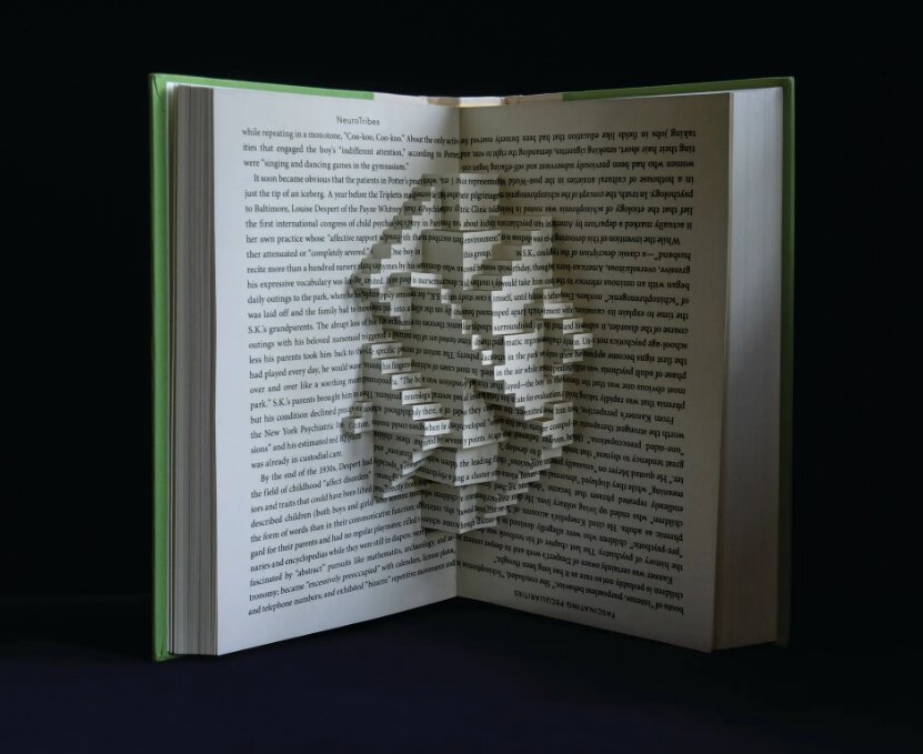 تصاویر خارقالعادهای از کتابهایی که مجسمه شدند | این مجسمهها گواهی بر قدرت زبان هستند