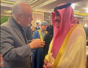 تصویری از گفت‌وگوی دوستانه سفیر عربستان با  علی اکبر صالحی