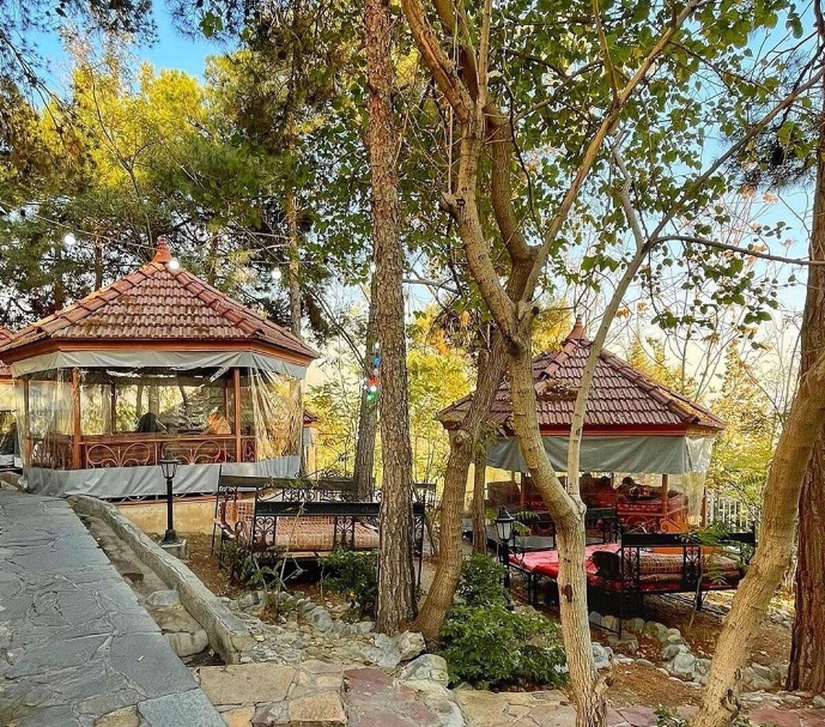 شکم گردی در بامها | اینجا تهران زیرپایتان است