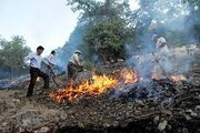ببینید | وضعیت اطفای حریق در جنگل‌های غرب مازندران
