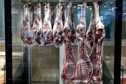 آخرین وضعیت بازار گوشت قرمز | قیمت هر کیلو لاشه گوسفندی و گوساله چند شد؟