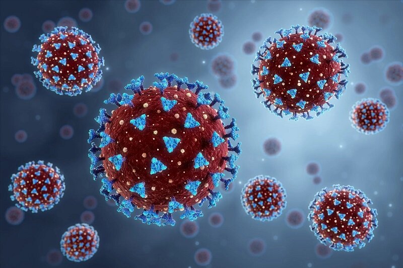 هشدار جدی متخصصان: افزایش خطر همه‌گیری بعدی با این ۴ ویروس | یک کارشناس از خطر سارس، ابولا و نیپا می‌گوید