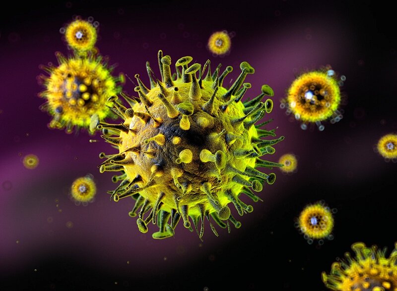 هشدار جدی متخصصان: افزایش خطر همه‌گیری بعدی با این ۴ ویروس | یک کارشناس از خطر سارس، ابولا و نیپا می‌گوید