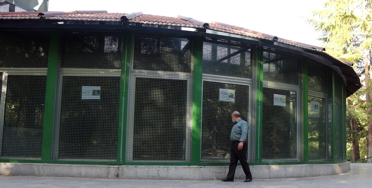 به تماشای حیوانات در بوستانهای پایتخت بروید