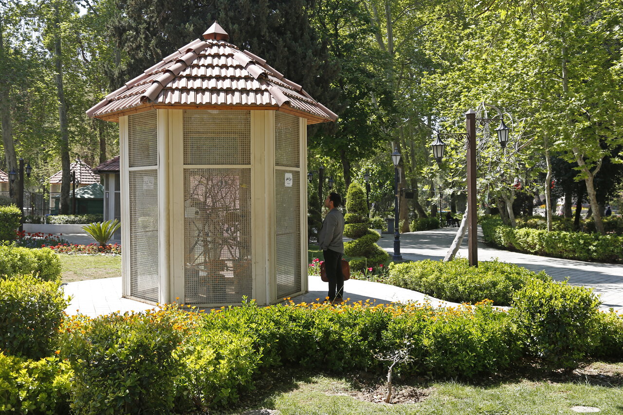 به تماشای حیوانات در بوستانهای پایتخت بروید