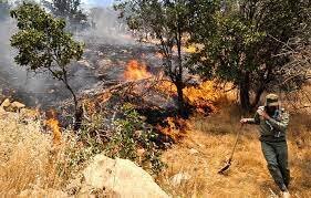 تلاش مردم در مهار آتش‌سوزی جنگل‌های هیرکانی