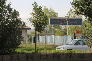 ادامه مالیات‌گریزی یکی‌از دانه درشت‌ها | طولانی شدن رسیدگی به پرونده فرار مالیاتی مالک داروگر به سود کیست؟