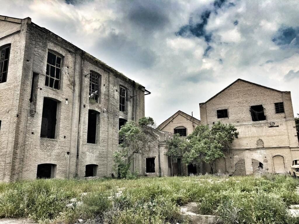 طعم شیرین کارآفرینی با کلهقند //