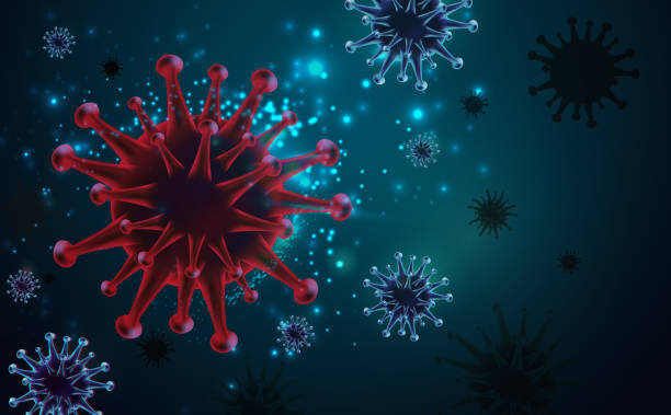 ویروس جدیدی مانند کرونا در راه است؟ | توضیح چین درباره ویروس جدید ؛ همه چیز درباره نگرانی از آنفلوآنزای پرندگان