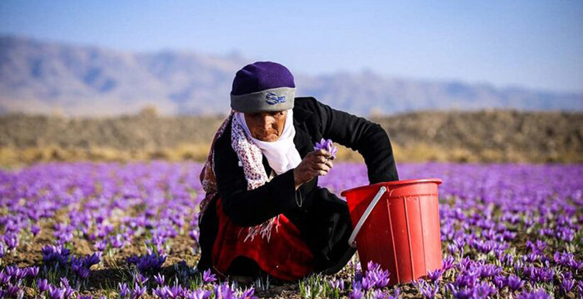 شب یلدا دو روز تعطیل میشود؟ | پیشنهاد خاص دبیر شورای فرهنگ عمومی برای تعطیل شدن روزهای آخر پاییز