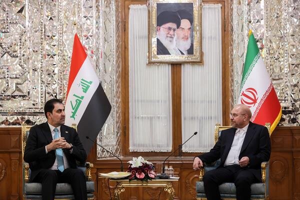 دیدارهای نایب رئیس مجلس عراق
