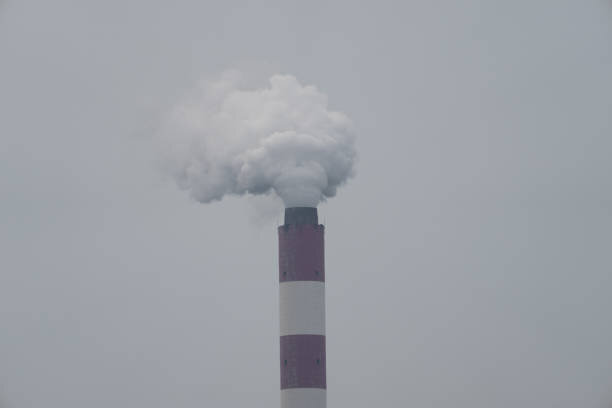 مهم ترین آلاینده های هوای محیط بسته را بشناسید | افزایش خطر سکته مغزی و مرگ زودهنگام بر اثر آلودگی هوا