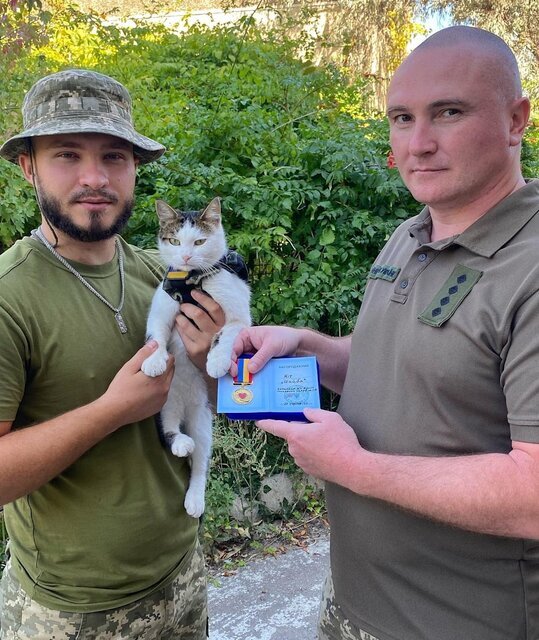 عکس | اعزام گربه‌ها به خط مقدم جبهه‌ها در جنگ اوکراین!