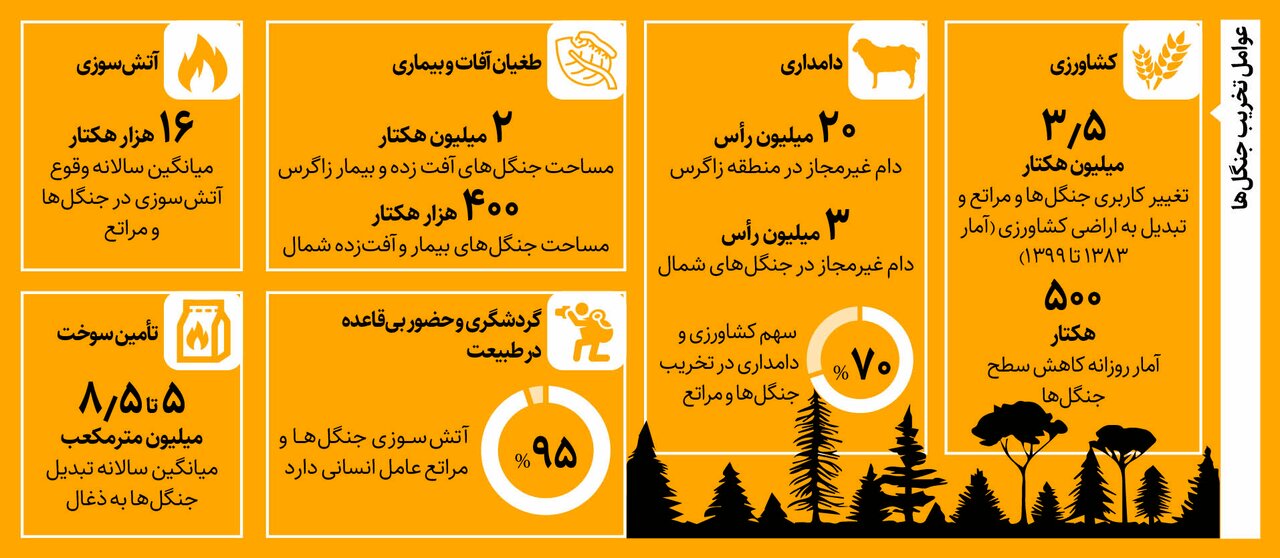 قلب سبز ایران، هیزم آتش کباب و قلیان | ۸.۵ میلیون مترمکعب جنگل در سال ذغال می‌شود | روزانه ۵۰۰ هکتار از جنگل‌های کشور ازبین می‌رود + اینفوگرافیک