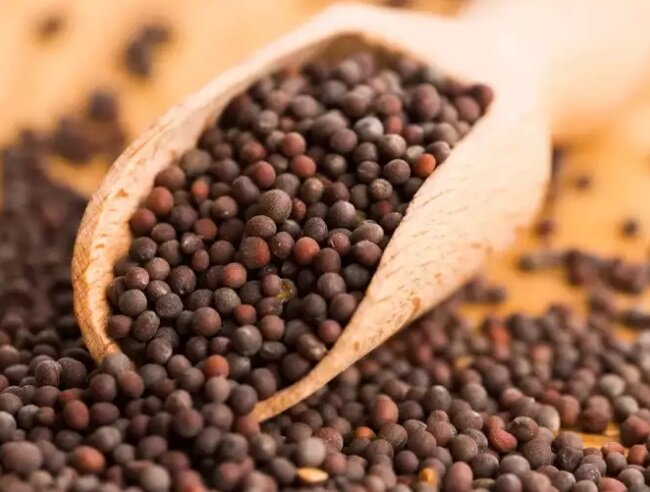 این ۵ ادویه سلامتی شما را در فصل زمستان تضمین میکنند