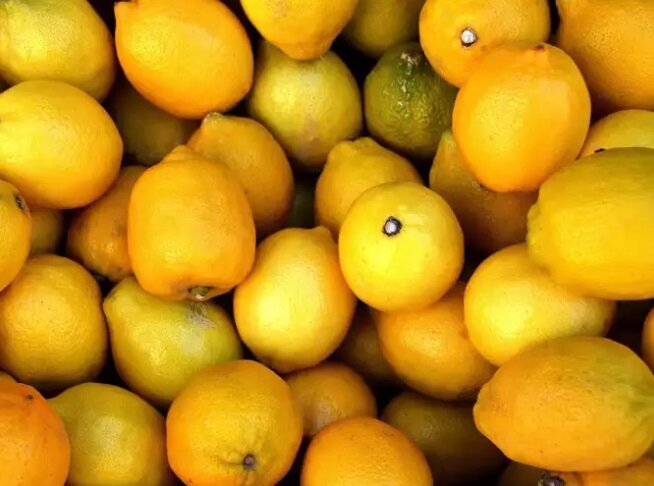 ترفندهای نگهداری طولانی مدت لیمو