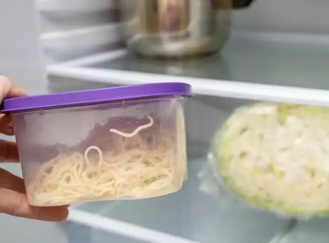 نکاتی برای سالم نگهداشتن غذا در یخچال