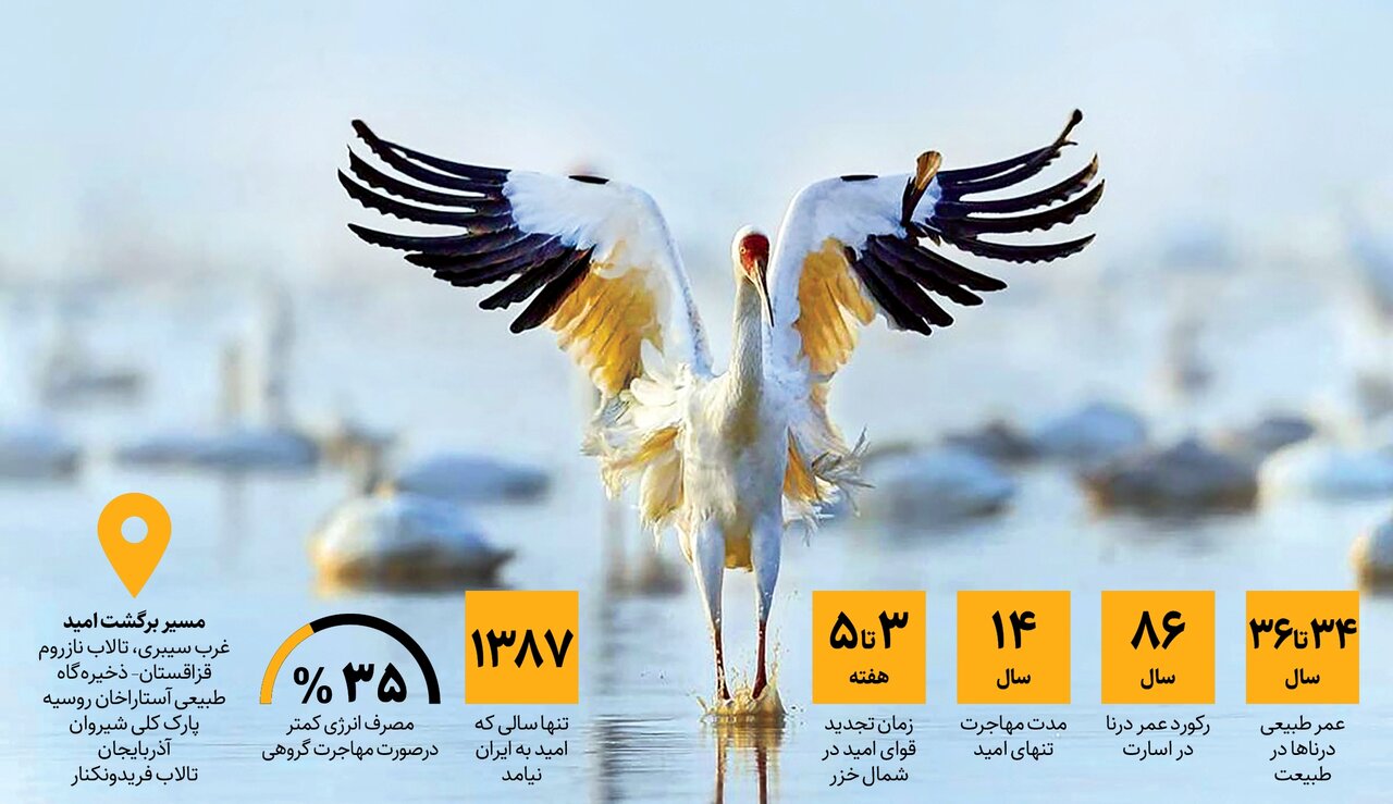 «امید» کجاست؟ | آیا امید در حال تجدید قوا در شمال خزر برای ورود به ایران است؟