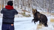 تصاویر لحظه وحشتانک هجوم خرس به پیست اسکی‌ | واکنش اسکی‌بازان را ببینید