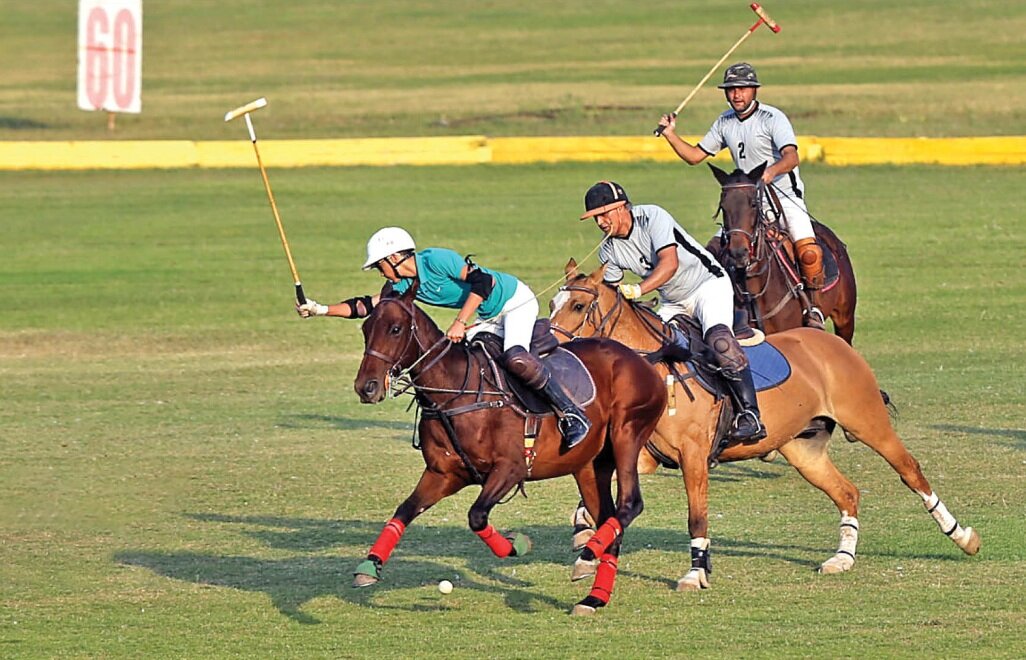 معرفی پیست های سوارکاری تهران | پا در رکاب