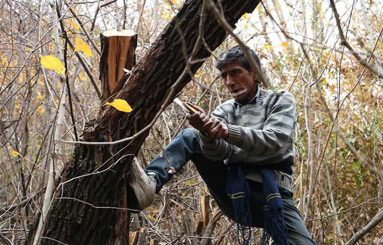 همه آن چیزهایی که باید درباره هفدهمین دوره جشنواره بینالمللی سینما حقیقت بدانید