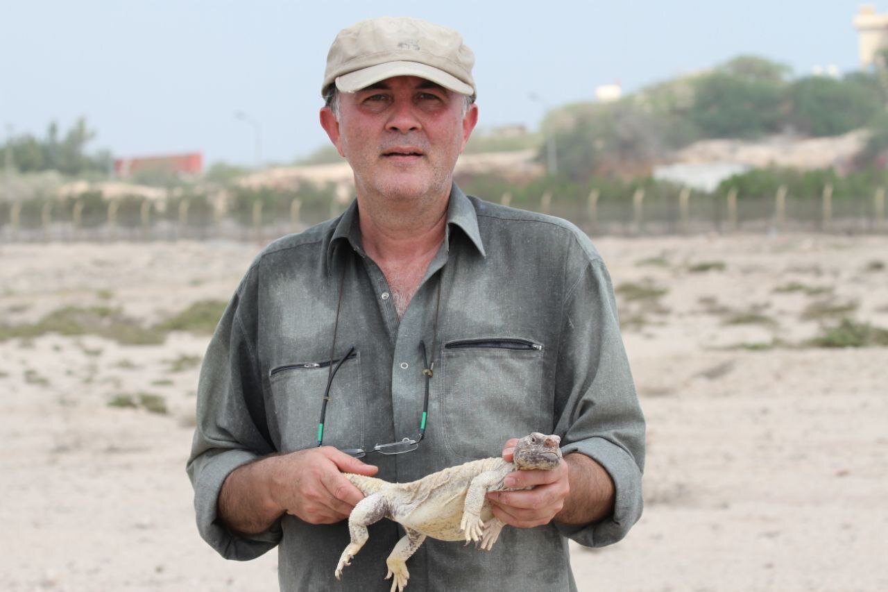 حیواناتی که پاسپورت دارند | ماجرای عجیب رشوه برای گرفتن پاسپورت حیوان خانگی