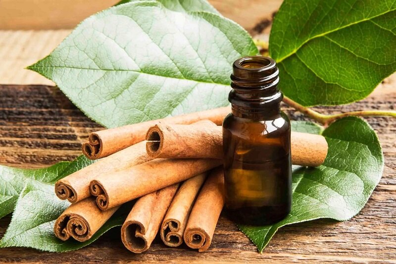 معجزه شگفت انگیز دارچین برای بیماران دیابتی