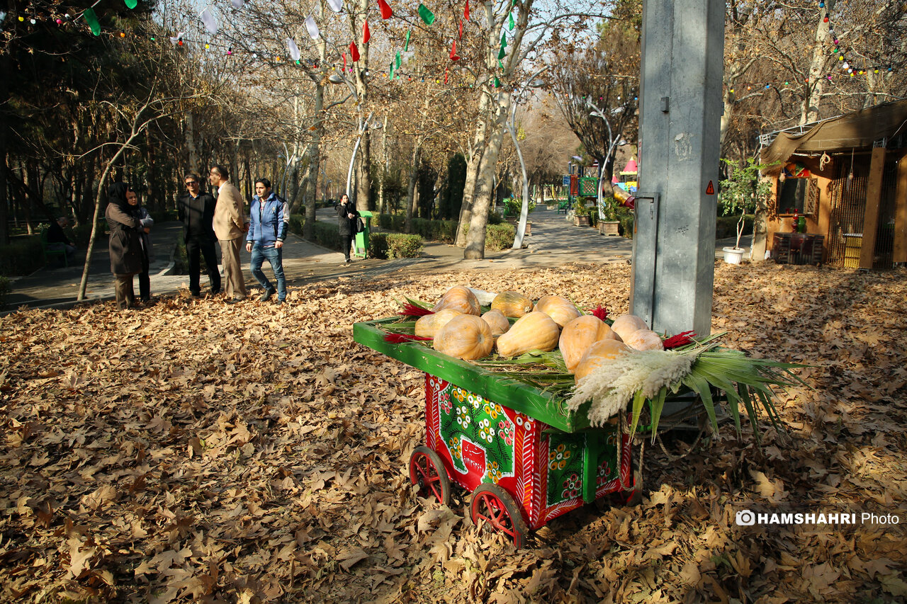زیباترین جاهای دیدنی تهران در شبهای پاییزی + آدرس دقیق مراکز تفریحی