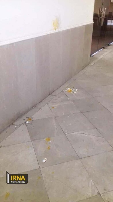 اتفاق تلخ در دو ومیدانی ؛ پرتاب تخممرغ به جای پرتاب دیسک | عکس