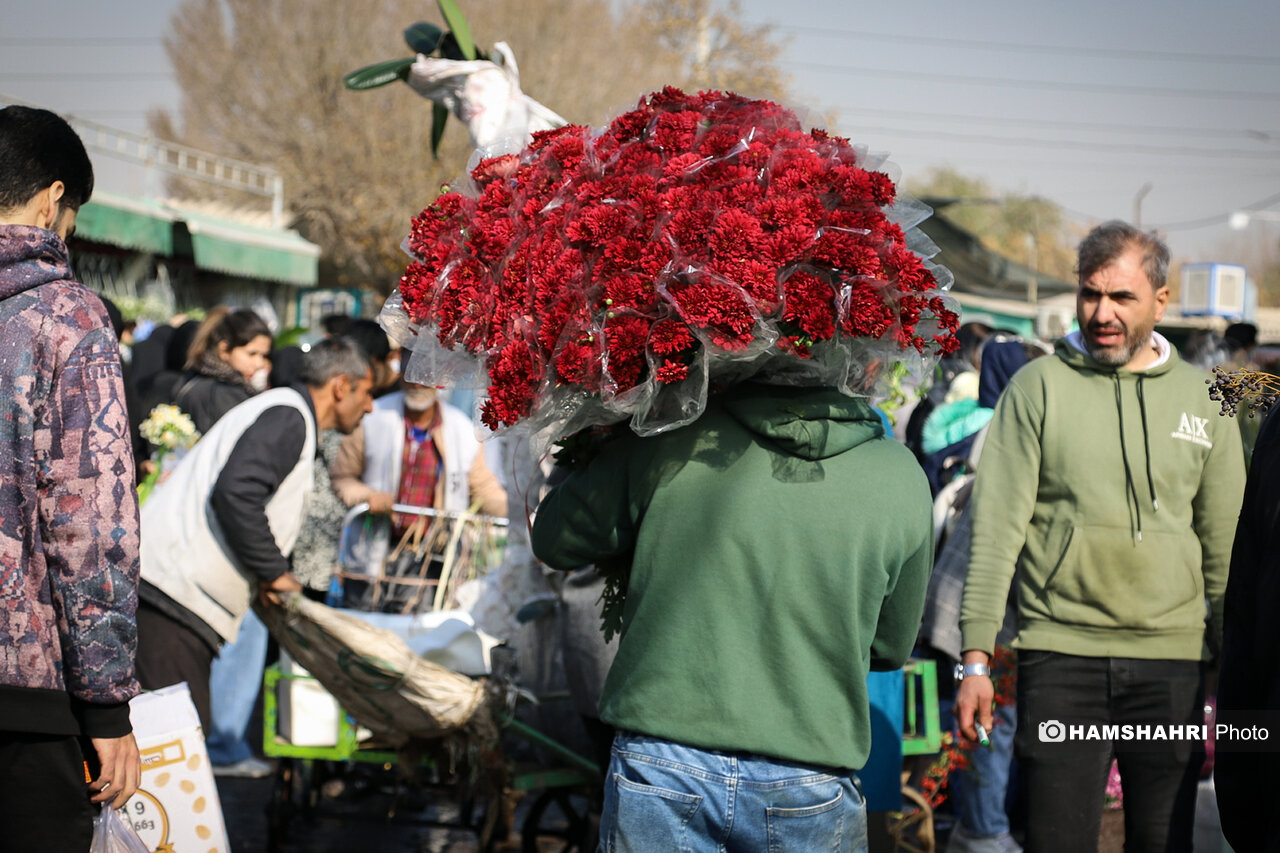 معرفی بازارهای گل معروف تهران ؛ از بازار گل خاوران تا بازار گل محلاتی + آدرس