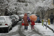 شروع زمستان با برف ؛ استان‌هایی که بیشترین بارش برف را داشتند | ارتفاع برف در این منطقه به ۲۰ سانتی متر رسید