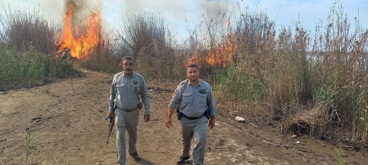 پرنده کمیابی که بعد از ۱۱۶ سال به ایران آمد | گفت و گو با محیطبان محبوب جنوبی ؛ شکارچیان برادرم را با تیر و فرزندم را کتک زدند | تصاویر