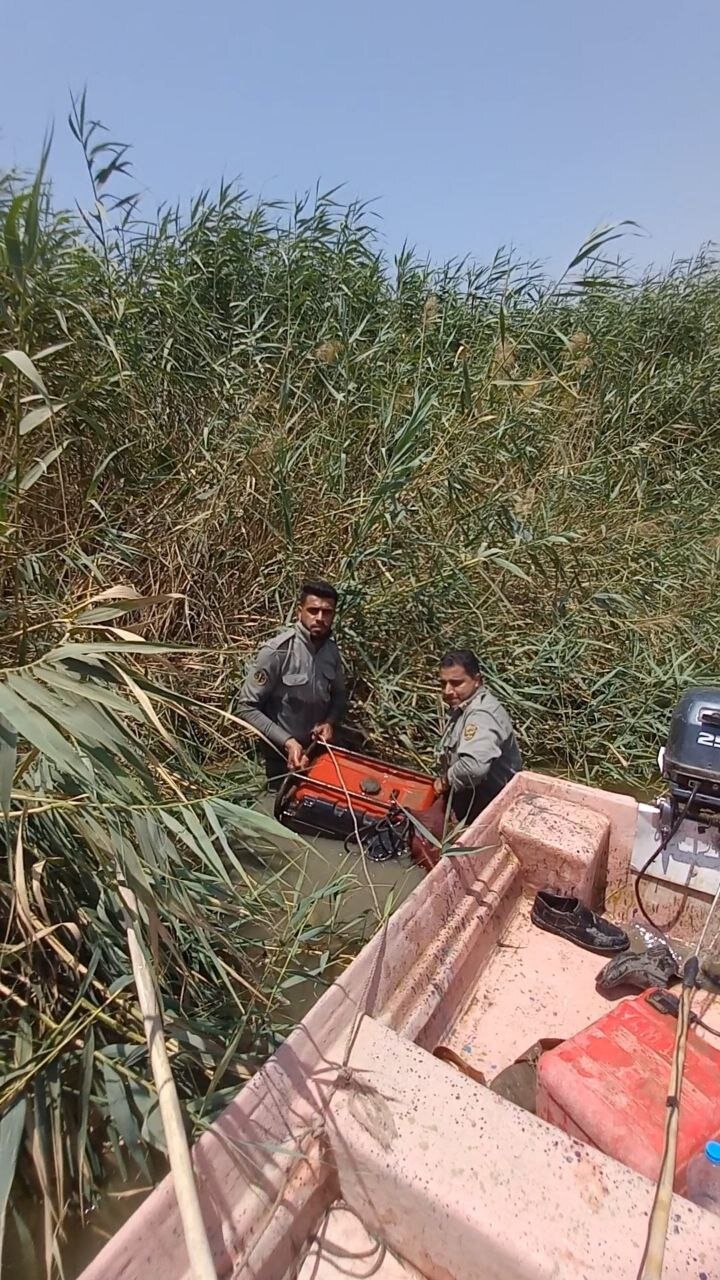 پرنده کمیابی که بعد از ۱۱۶ سال به ایران آمد | گفت و گو با محیطبان محبوب جنوبی ؛ شکارچیان برادرم را با تیر و فرزندم را کتک زدند | تصاویر