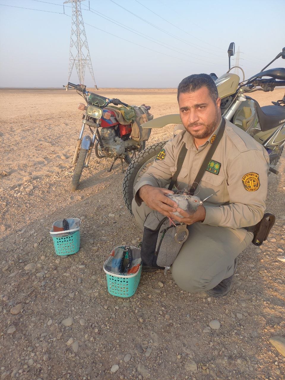 پرنده کمیابی که بعد از ۱۱۶ سال به ایران آمد | گفت و گو با محیطبان محبوب جنوبی ؛ شکارچیان برادرم را با تیر و فرزندم را کتک زدند | تصاویر