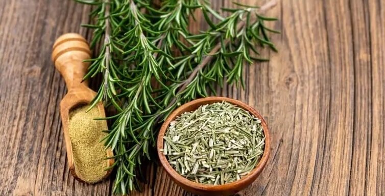 گیاهی که جای زخم را ترمیم می کند!