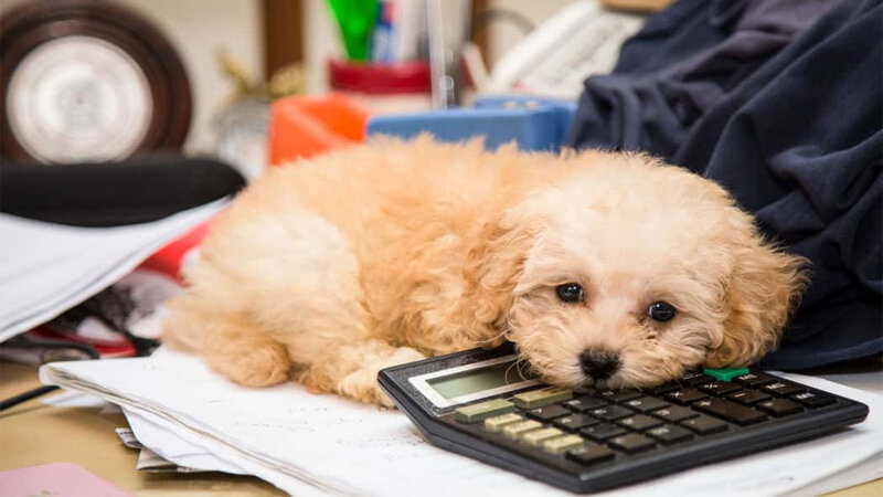 وسایلی که نباید دست دوم بخرید