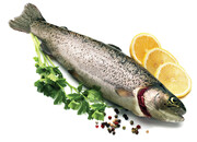 بهترین ماهی را این‌ طور انتخاب کنید | ماهی تازه و سالم چه نشانه‌هایی دارد؟