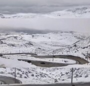 سفیدپوش شدن این منطقه مردم را ذوق زده کرد | تصاویر زیبای بارش برف در استان فارس