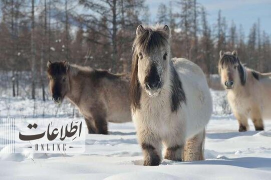 سردترین منطقه جهان