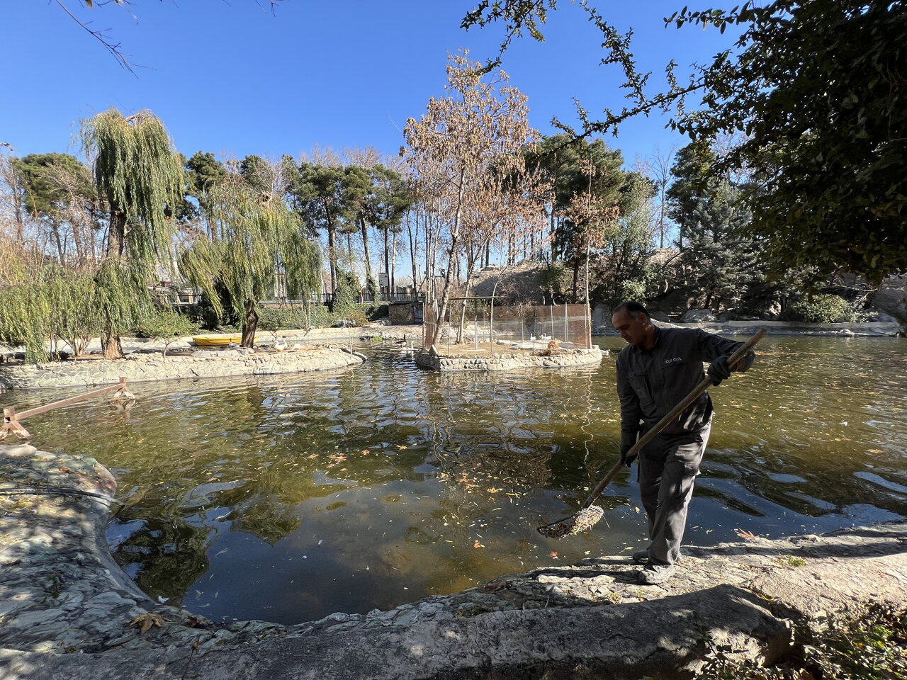 حیوانات باغ وحش ارم ماهیانه یک میلیارد و ۵۰۰ میلیون تومان غذا میخورند | برای فیلها روزی ۱۰۰ کیلو میوه سرو میشود!