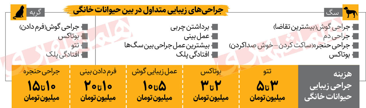 صف جراحی زیبایی برای حیوانات خانگی | از بوتاکس و چربی زدایی تا برداشتن حنجره حیوانات خانگی در ایران