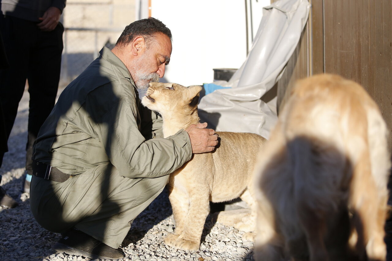 این مرد ۷۰۰ حیوان در خانه اش نگهداری می کند | از پلیکان بادیگارد تا ببر سیبری ! (عکس)